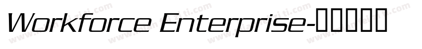 Workforce Enterprise字体转换